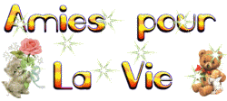 pour mes vrai amies