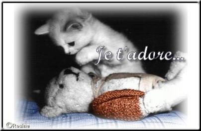pour toi ma femme